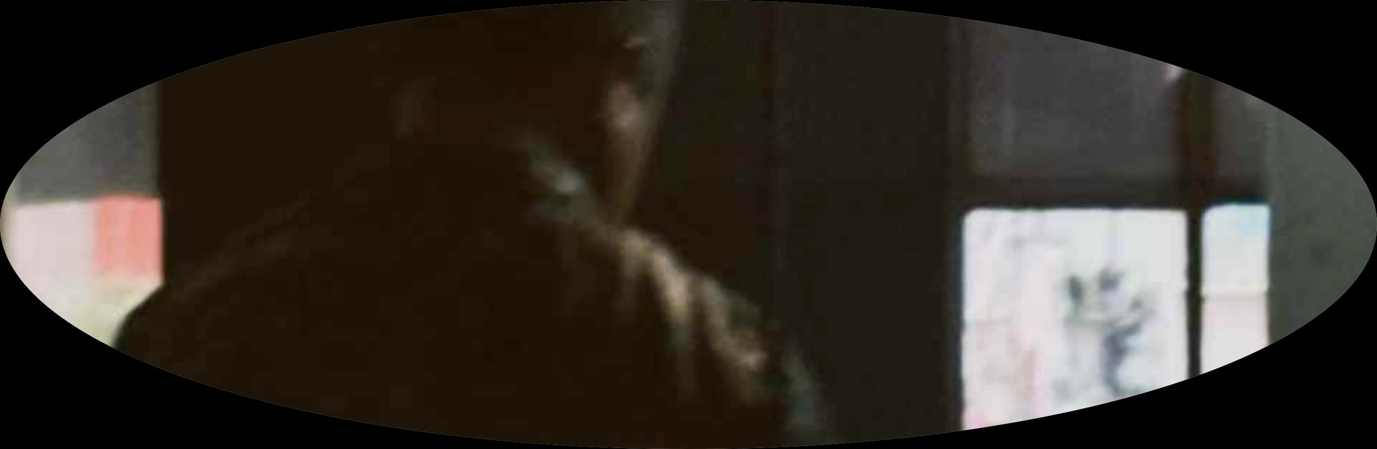 An oval view of a shadowed figure beside a bright window.